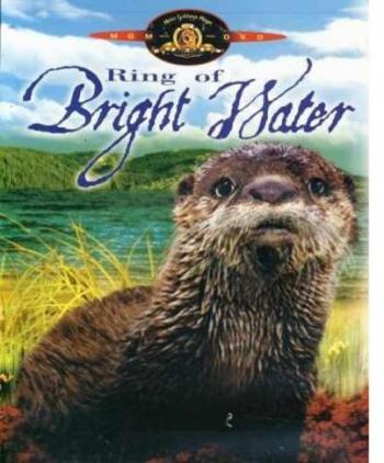 Круг чистой воды / Ring of Bright Water VO