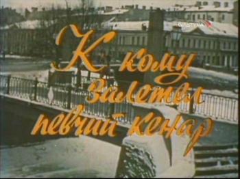 К кому залетел певчий кенар...