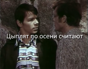 Цыплят по осени считают