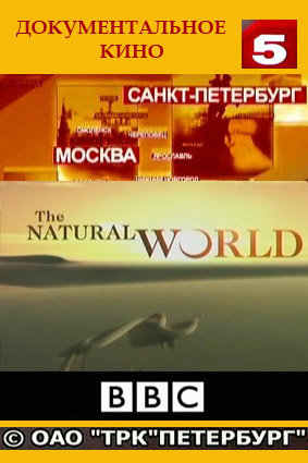 BBC: Мир природы / The Natural World (102 фильма)