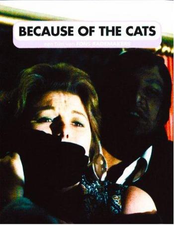 Из-за кошек / Because of the Cats VO