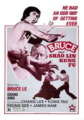 Брюс и кунг-фу монастыря Шао-Линь / Bruce And Shaolin Kung-Fu / Da mo tie zhi gong DVO