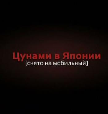Цунами в Японии. Снято на мобильный DVO