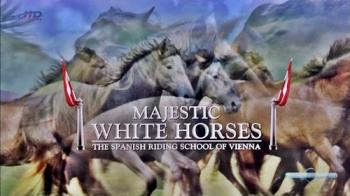 Королевские белые лошади. Испанская школа верховой езды в Вене / Majestic white horses. The Spanish riding school of Vienna VO