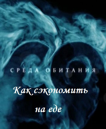 Среда обитания - Как сэкономить на еде (16.11.2011)
