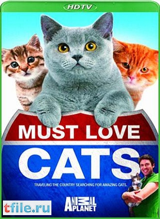 Кошек не любить нельзя / Must Love Cats VO