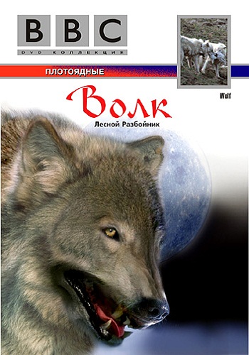 BBC Жизнь животных: Волк / BBC The Wildlife Specials: Wolf VO