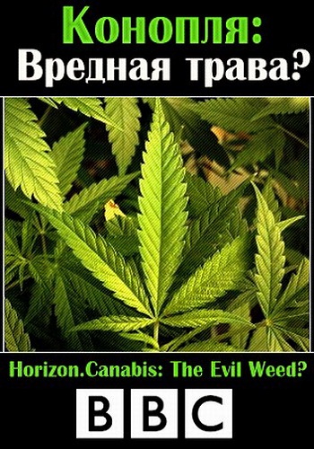 BBC: Конопля: вредная трава? / BBC: Horizon.Canabis: The Evil Weed? VO