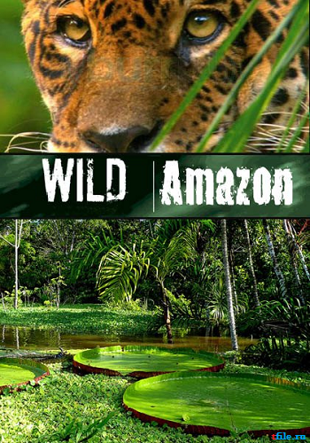 Дикая природа Амазонки (2 серии из 2) / National Geographic Channel: Wild Amazon VO
