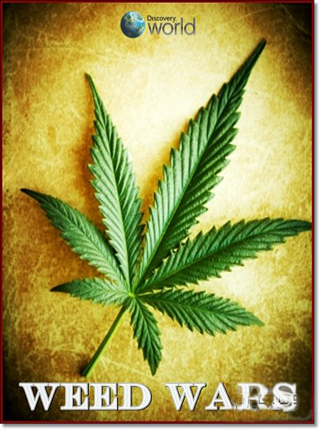 Discovery: Марихуана в законе / Discovery: Weed Wars DVO