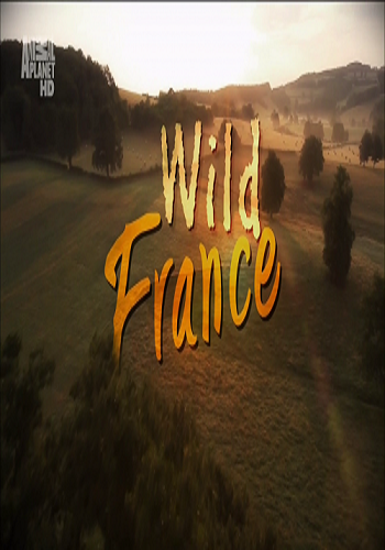 Дикая Франция (10 серий из 10) / Wild France VO