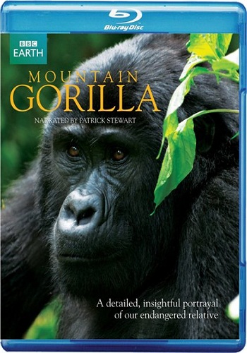BBC: Горная горилла / BBC: Mountain Gorilla (3 серии из 3) VO