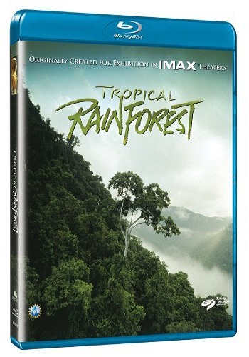 Тропический лес / Tropical Rainforest DVO
