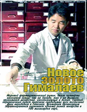 Новое золото Гималаев / New Gold Himalayas MVO