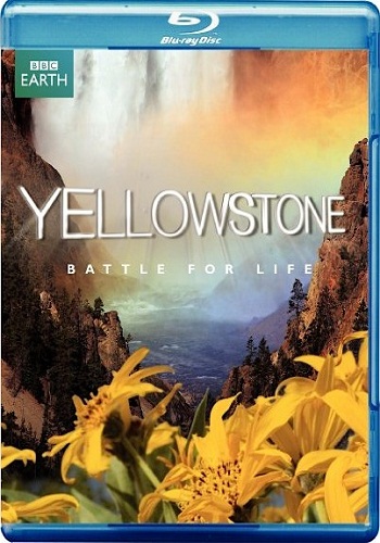 Йеллоустоун - Борьба за жизнь / Yellowstone - Battle For Life (3 серии из 3) VO
