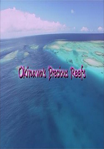 Бесценные рифы острова Окинава / Okinawa's Precious Reefs VO