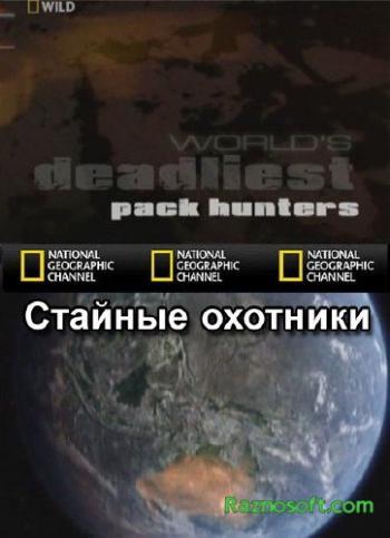 Самые опасные животные. Стайные охотники / World's deadliest: Pack hanters VO