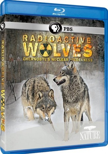 Радиоактивные волки Чернобыля / Radioactive wolves VO