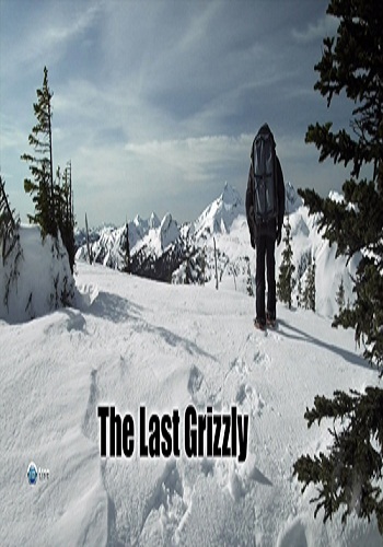Мир природы: Последний гризли / Natural Wold: The Last Grizzly VO