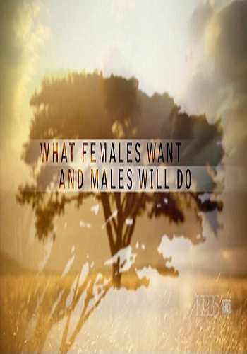 Чего хотят самки, и на что готовы самцы / What Females Want and Males Will Do (2 серии из 2) DVO