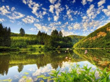 Магия природы / Magic of nature