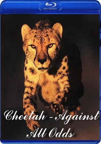 Гепарды - Наперекор всему / Cheetah - Against All Odds DUB