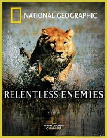 Непримиримые противники / Relentless Enemies VO