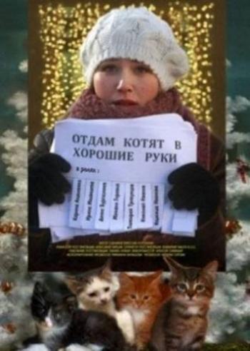 Отдам котят в хорошие руки