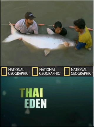 Рыбы-чудовища: Таиландский рай / Monster fish: Thai Eden VO