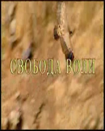 Свобода Воли