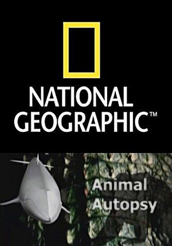National Geographic: Анатомия крупнейших животных. Кит / National Geographic: Animal Autopsy. The Whale VO