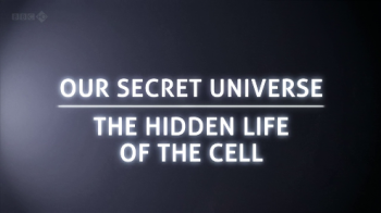 Внутренняя Вселенная: Тайная жизнь клетки / Secret Universe: The Hidden Life of the Cell VO