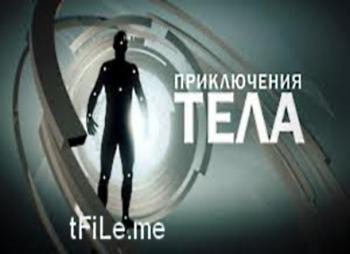 Приключения Тела. Испытание (5 серий)