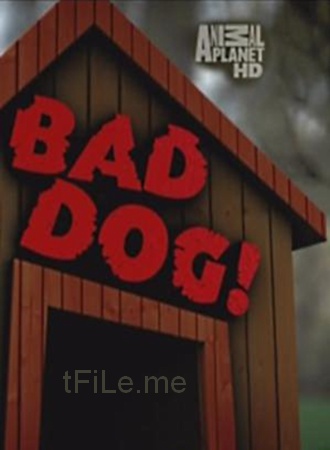 Плохой пёс (1 и 2 серии) / Bad Dog VO