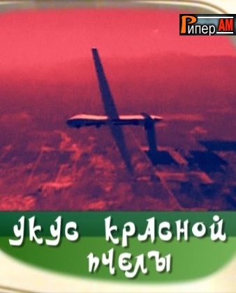 Укус красной пчелы (Эфир от 21.05.2013)