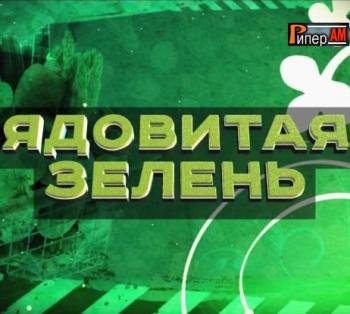 Без обмана. Ядовитая зелень (Эфир от 27.05.2013)