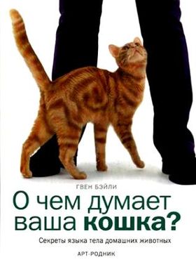 О чем думает ваша кошка?