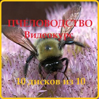 Пчеловодство (10 дисков из 10)
