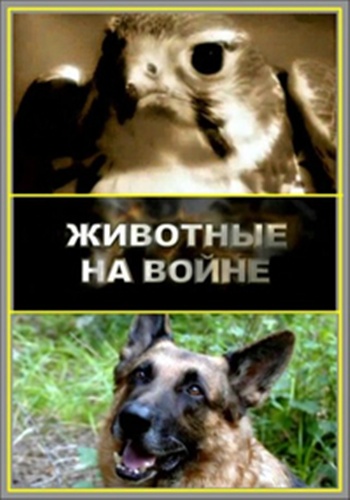 Животные на войне