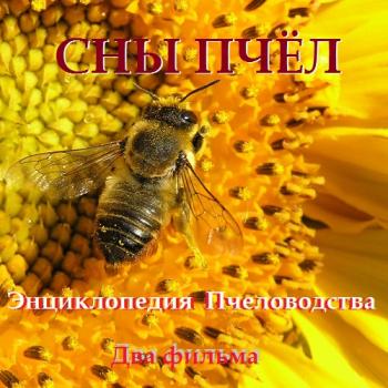 Сны пчел. Энциклопедия пчеловодства
