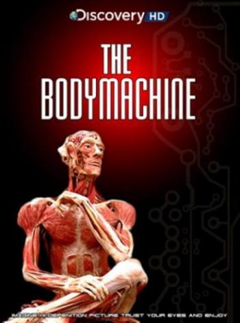Discovery: Механизмы организма / Discovery: The Body Machine VO