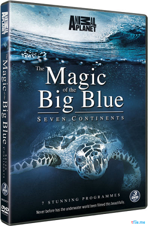 Чудеса голубой планеты. Семь континентов / The Magic Of The Big Blue. Seven Continents VO