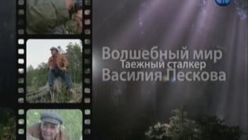 Таежный сталкер. Волшебный мир Василия Пескова