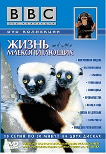 BBC: Жизнь млекопитающих / BBC: Life of mammals VO