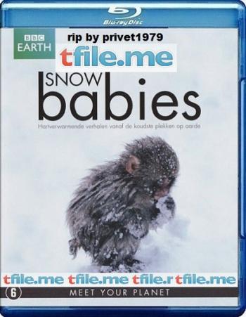 Дети снегов / Snow Babies AVO