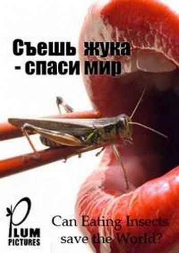 BBC: Съешь жука - спаси мир / BBC: Can Eating Insects save the World? VO