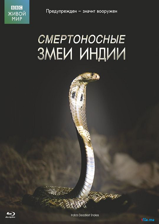 BBC: Мир природы. Смертоносные змеи Индии / BBC: The Natural World. One Million Snake Bites DVO