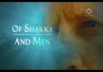 NATURE: Об акулах и людях. Природа страха / NATURE: Of Sharks and Men VO