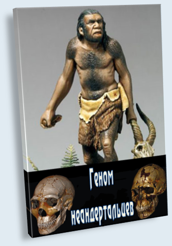 Геном неандертальцев / Decoding the Neanderthals VO