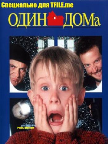 Один дома / Home Alone MVO + DUB